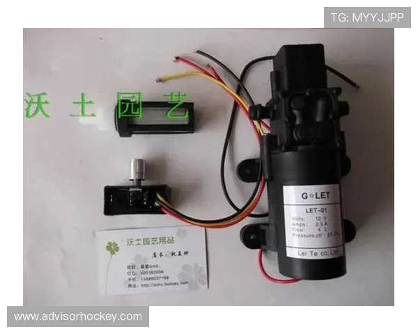 利来国际ag集团聚焦技术创新，提升用户体验引领行业发展新潮流